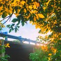 731 MtnDew、Yung King - Now You're Gone (feat. Yung King)