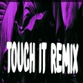 Tendencia - Touch it Remix