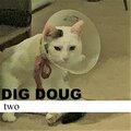 doug - Take 6