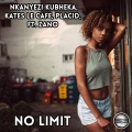 No Limit (Original Mix)