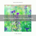 Nature Sounds Radio - Bird Song and Lovely Dense Forest Music for Hard Relax