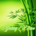 No Smoking Beats、Lodny、green light - Seeking Peace