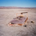 Holiday Music、Daphne Tunes、Oh Yes、Alessi's Ark - Scar Tissue (feat. Daphne Tunes Oh Yes & Alessi's Ark)