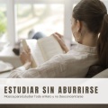 Estudio Hermoso - Organización