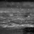 苏坤杰 - 五月雨