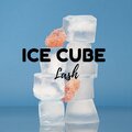 Lash - Ice Cube