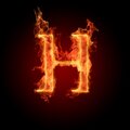 Thareau - Hy Hose