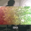 Davu - Lion in tha Leaves (Explicit)