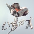 Synapsys - Nebulosa di papaveri