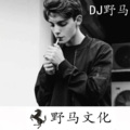 DJ野马 - 如意如意 (越南鼓)