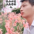 小林子 - 不小心爱上无情的人