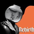 DJ Falco - Rebirth