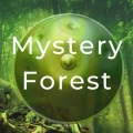 Mystery Forest