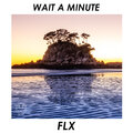 FLX - Wait A Minute (其他)