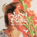 Noah Klein、Tam - Why You Wanna