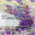 53 Calming Sounds for Reading