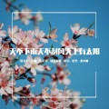 语晓涵、言和、乐正绫 - 天不下雨天不刮风天上有太阳 (言和、乐正绫)