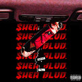 DEREK RINSEMA - Shea Blvd. (Explicit)