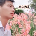 小林子 - 用力活着