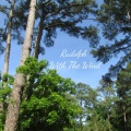 Rudolph - From Me to You
