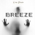 Kiran Dhormare - NightBreeze