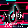 Tendencia、Tik Tok、BAILE - Asereje Remix