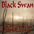 BLACKSWAN - Zerstörung