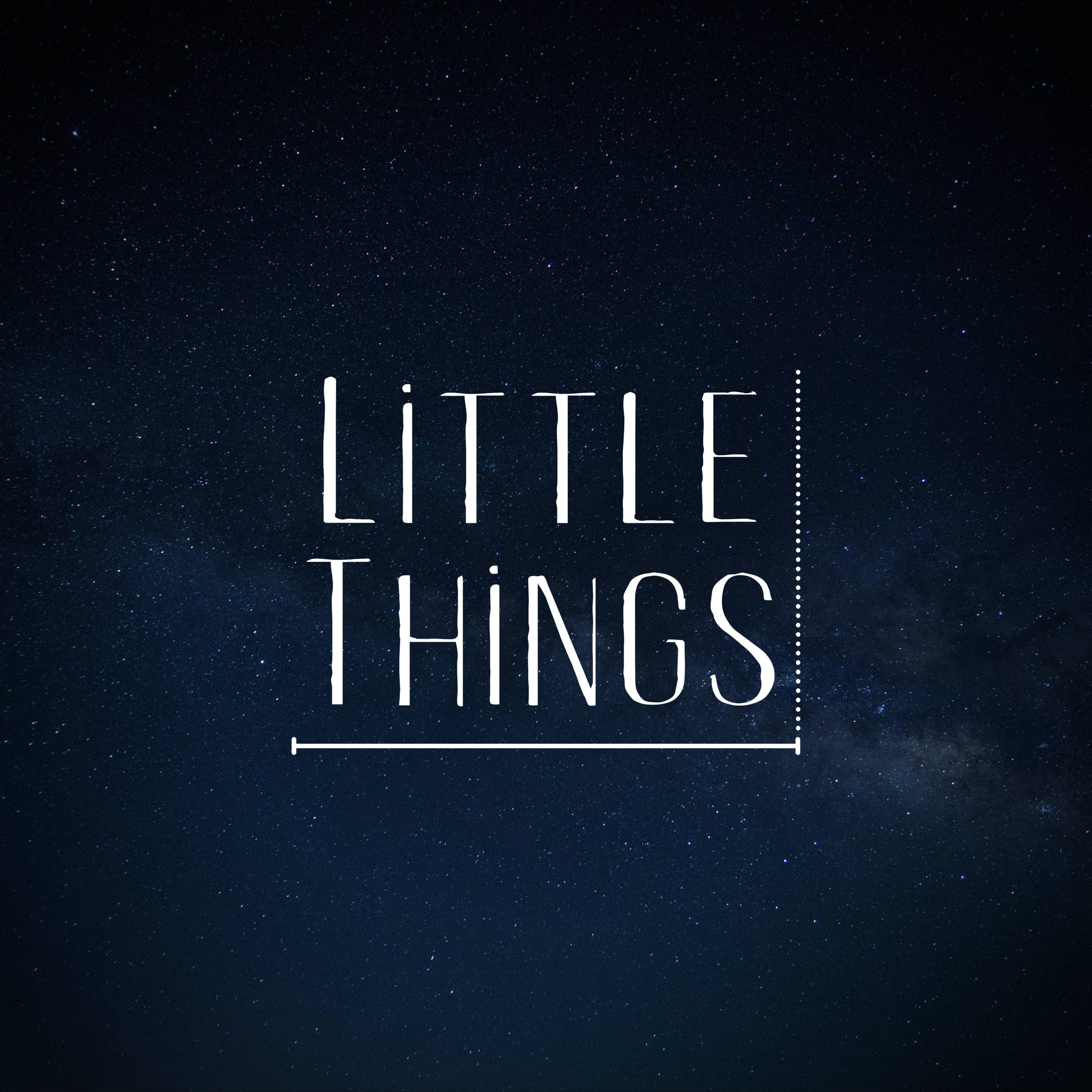 Fuzznet World、Juno Deer - Little Things