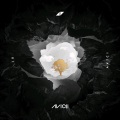 Avicii - Wasted