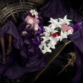 熊太kuma - 最後の花弁 (The meaning of love)