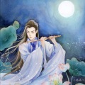 莫如雨落 - 白鸽