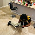 Backend (Explicit)