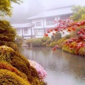 Yurima - River Flows In You