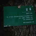 只要九块九包邮 - 春夏秋冬的你