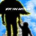 Showjoe、Ctb brxzy - Why you gotta go (feat. Showjoe)(Explicit)