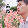 小林子 - 如愿