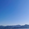 醉珂 - 鹿鸣呦呦