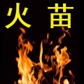 赵意扬 - 火苗