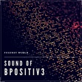 Fuzznet World、BPositiv3 - Unbroken