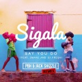 PBH & Jack、Sigala、DJ Fresh、imani - Say You Do (PBH & Jack Shizzle Remix)