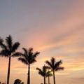 DJ - 沦陷