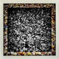 Joshua Jesse、Midas 104 - Sleepwalker (Jan Blomqvist Radio Version)