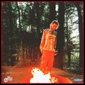 Born From Pain (Explicit)