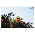Kendall Miles - Youth