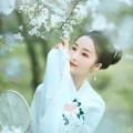 春泽野樱 - 苏公堤