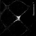 Fabian Jakopetz、Milex、Daniele Petronelli - Focus