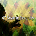 47 Soak in Serenity