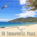 58 Therapeutic Peace