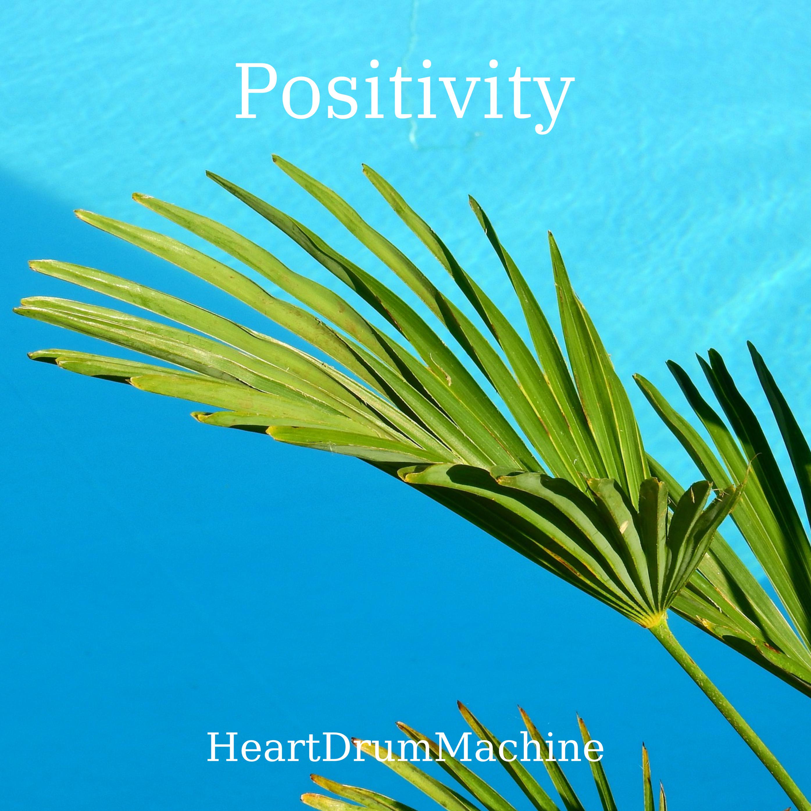 HeartDrumMachine - Positivity