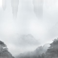 红树叶 - 白鸽
